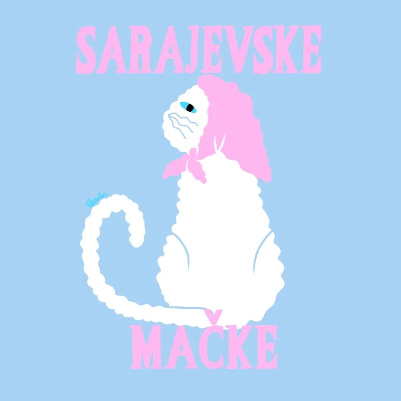Chat pastel Sarajevo