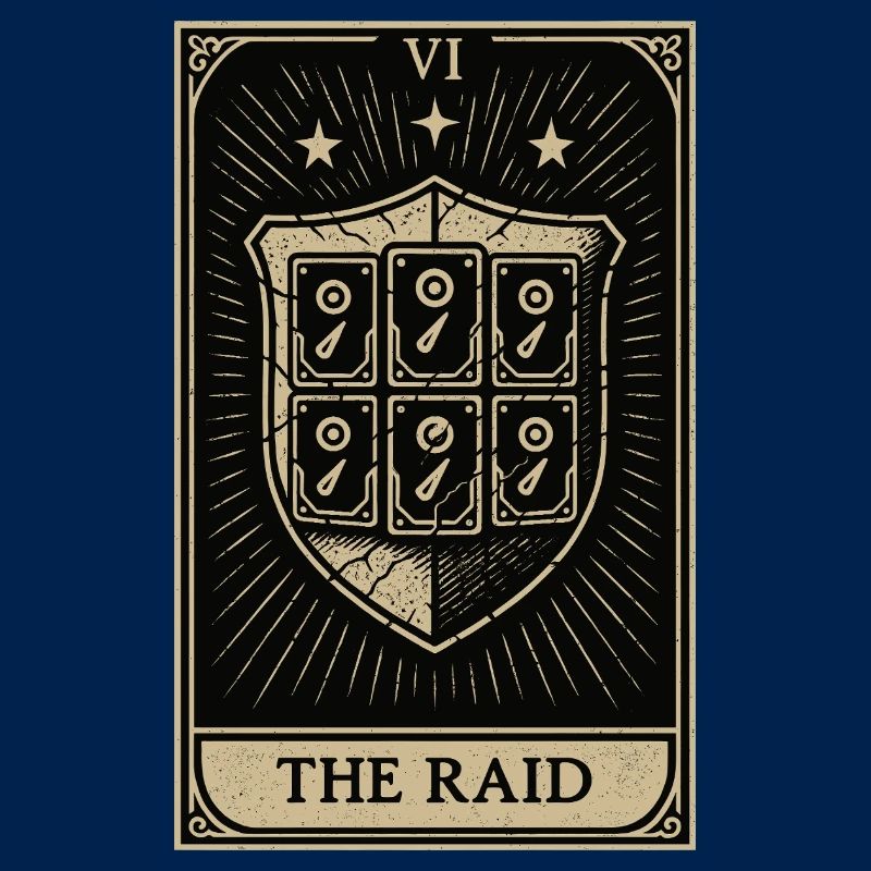 Tarot Datahoarding: Der RAID-Schutz
