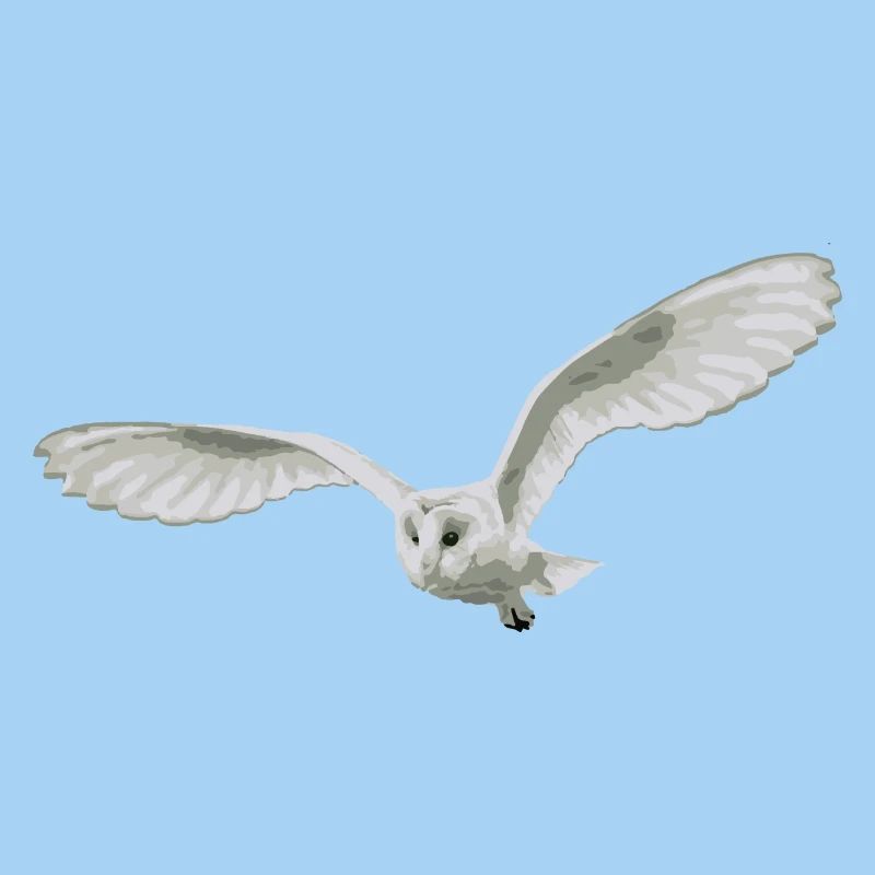 Eule