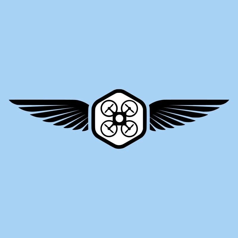 UAV PILOT