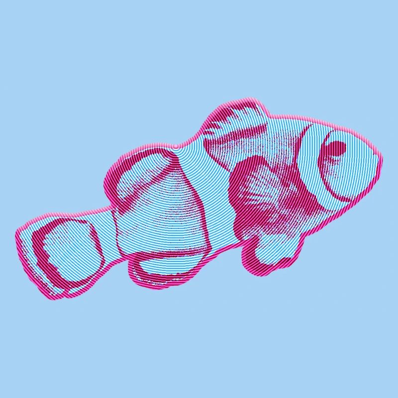 Conception de poisson KapaKala