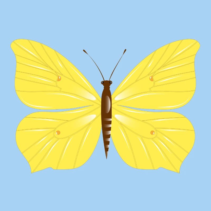 Papillon citron dessiné à la main