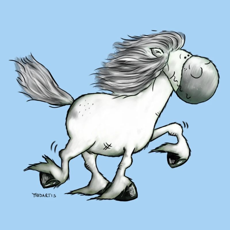 Drolliger Isländer - Islandpferd - Isi