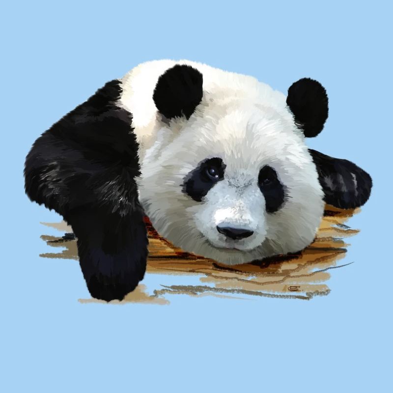 panda