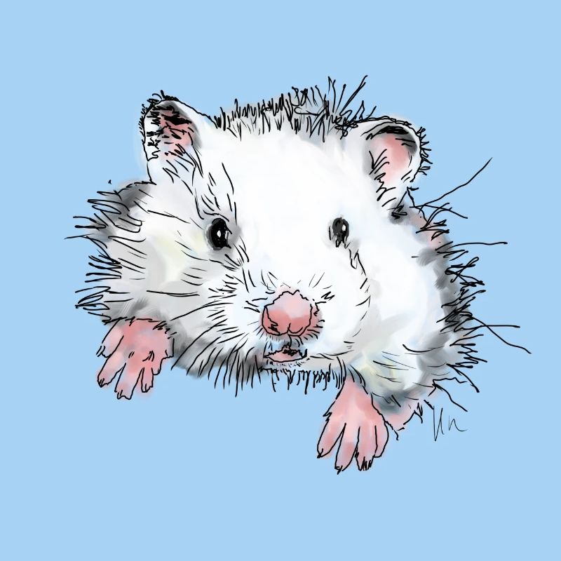 Hamster