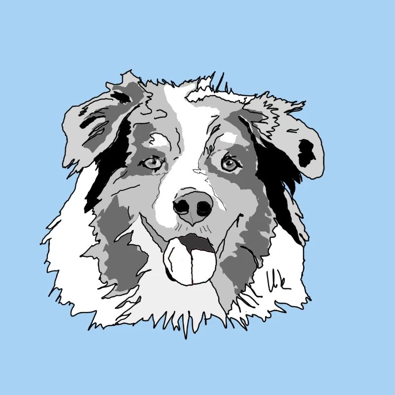 Australian Shepherd