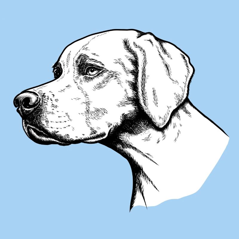 Pointer Portrait