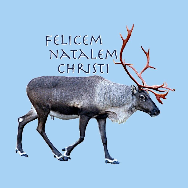 Felisem Natalem Christi