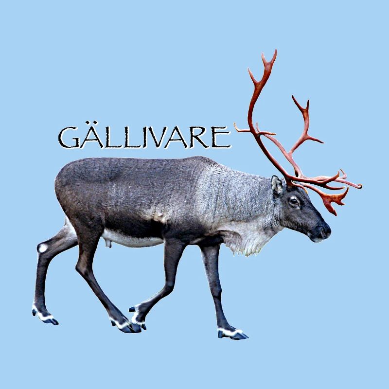 GALLIVARE