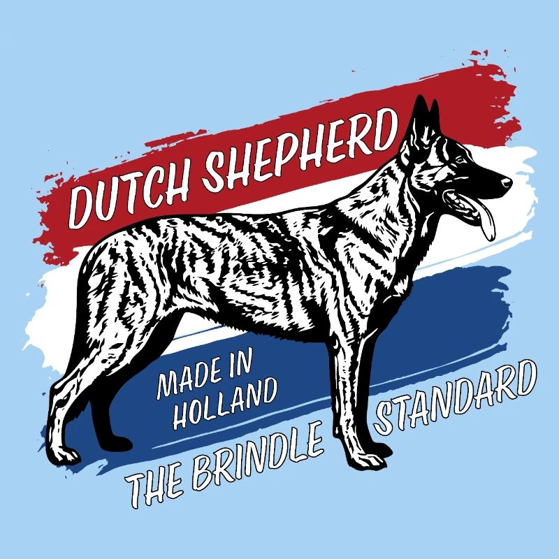 Dutch Shepherd – Dutchie