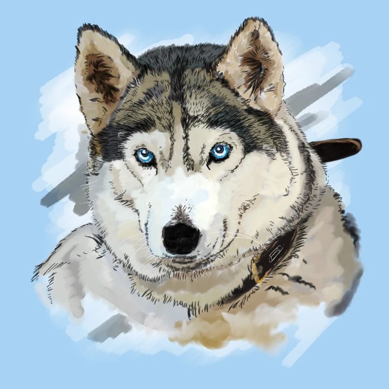 Husky