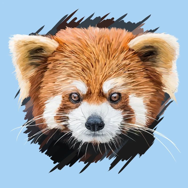 Roter Panda