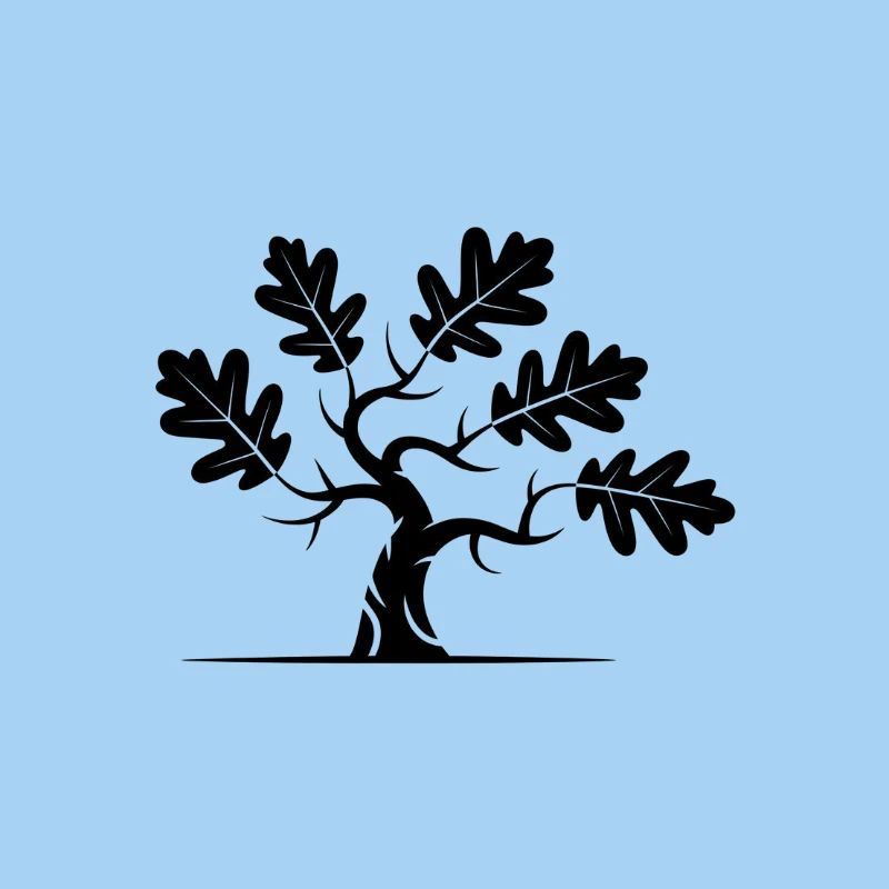 Oak Bonsai Tree