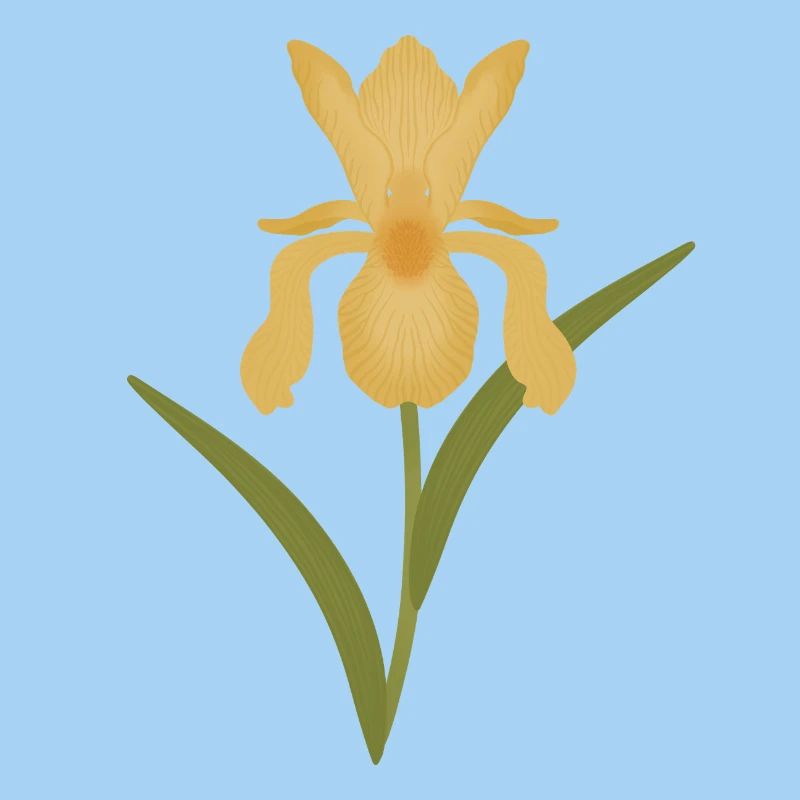 Goldene Irisblüte auf Grün