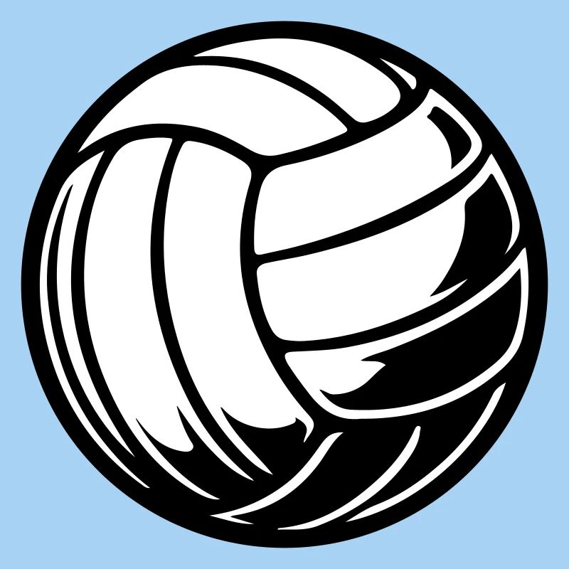 Ballon de volley-ball