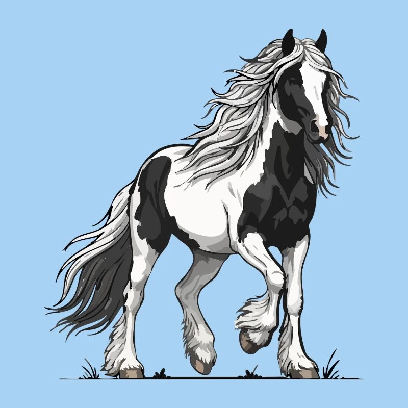 Cheval Pie Noir et Blanc Vanner Équestre