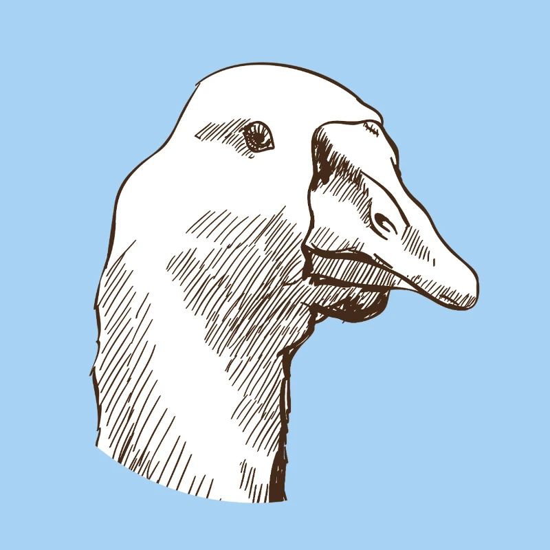 Gans