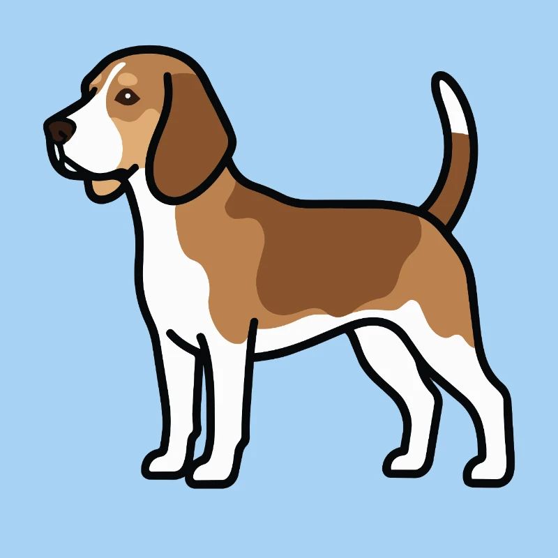 Beagle Dog