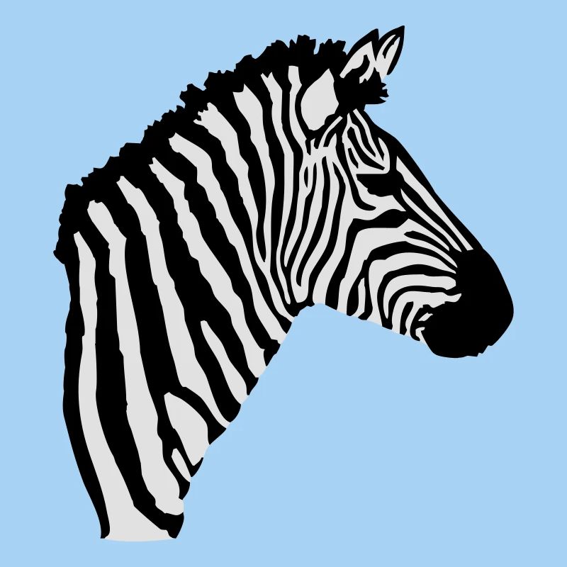 Zebra Kopf