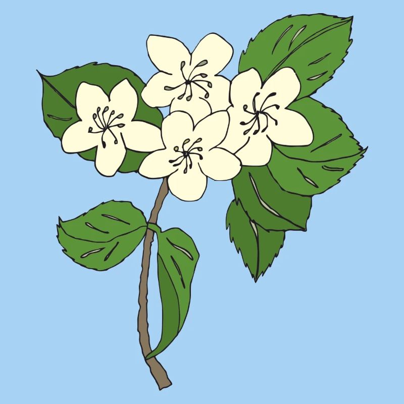 birnbaum blüten