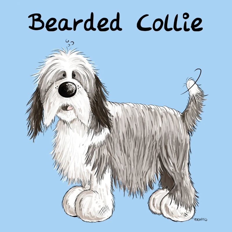 Happy Bearded Collie