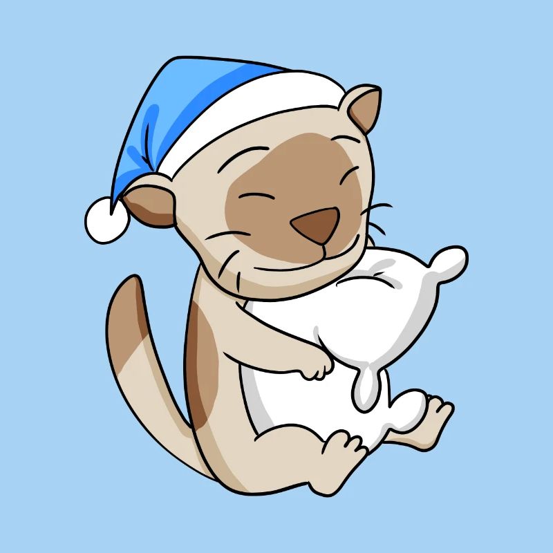 Chat Cat Race Chat Birman