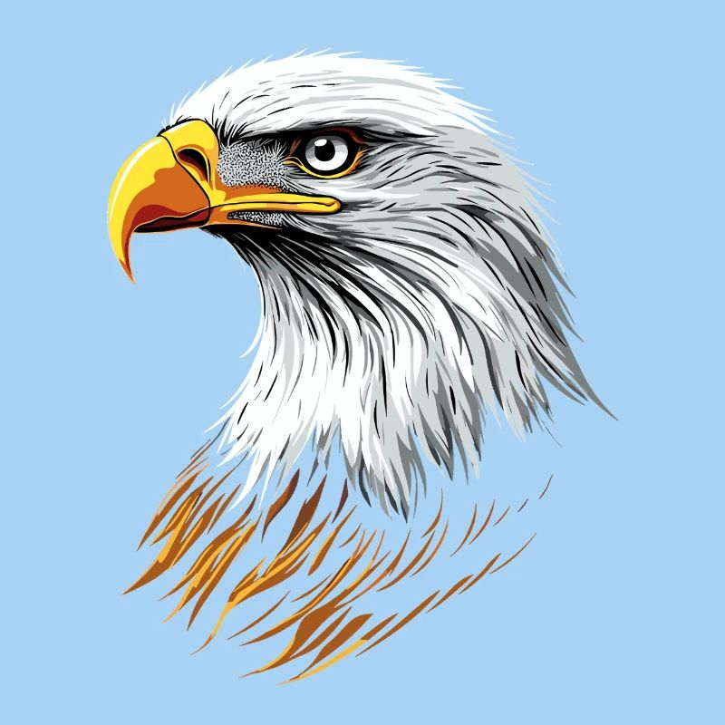 Aigle Pygargue à tête blanche Aigle royal Pygargue à queue blanche