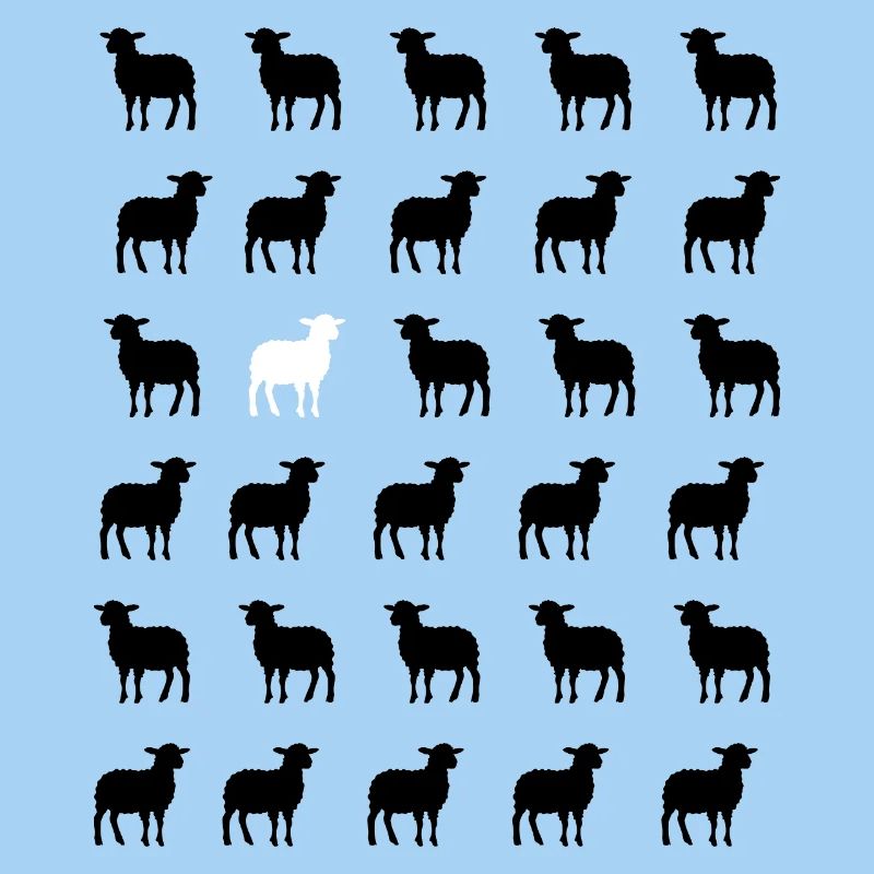 Schwarz-Weißes Schaf