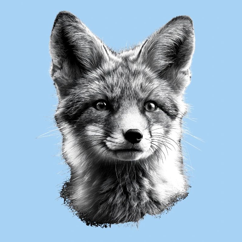 Polarfuchs Schneefuchs Eisfuchs Süßer Weißer Fuchs