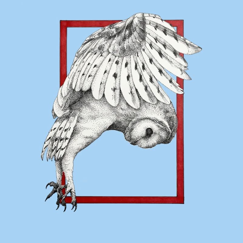 Owl with frame