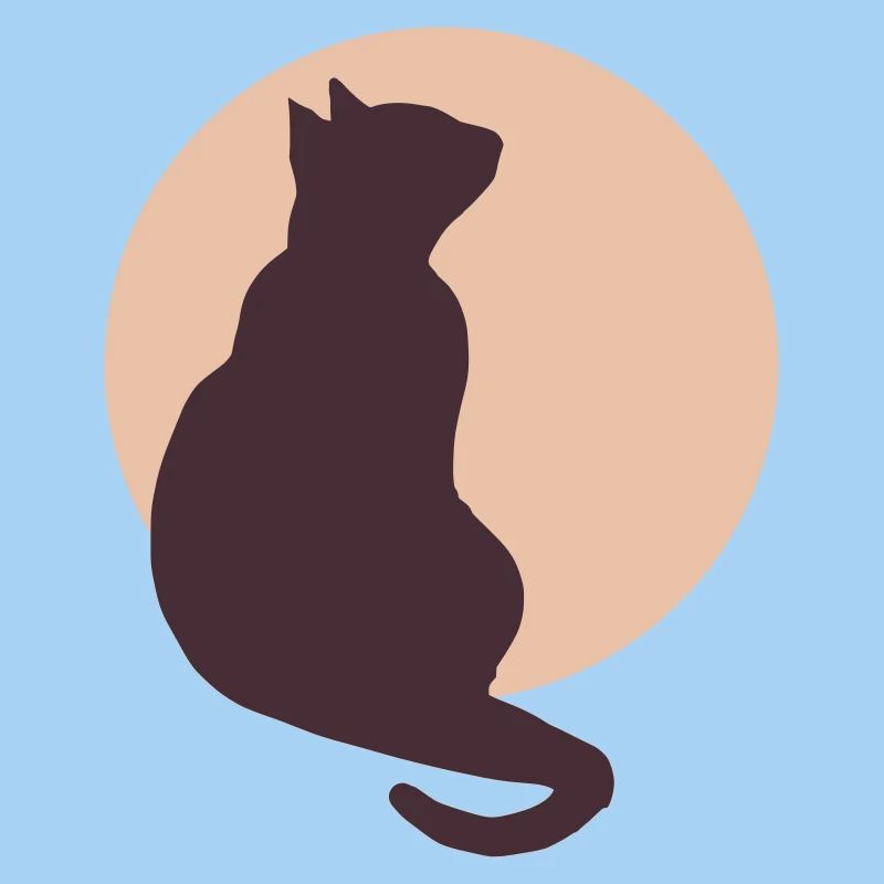 Chat de la Lune