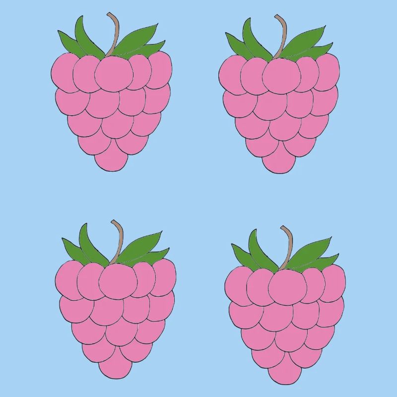 Motif de double grappe de framboise