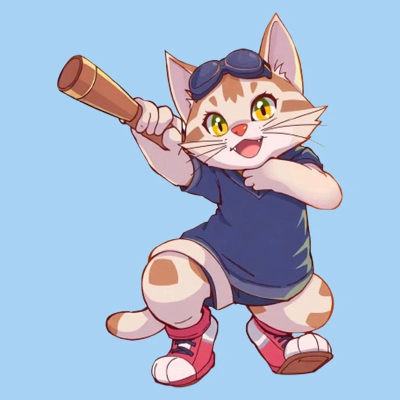 Chat, Chats