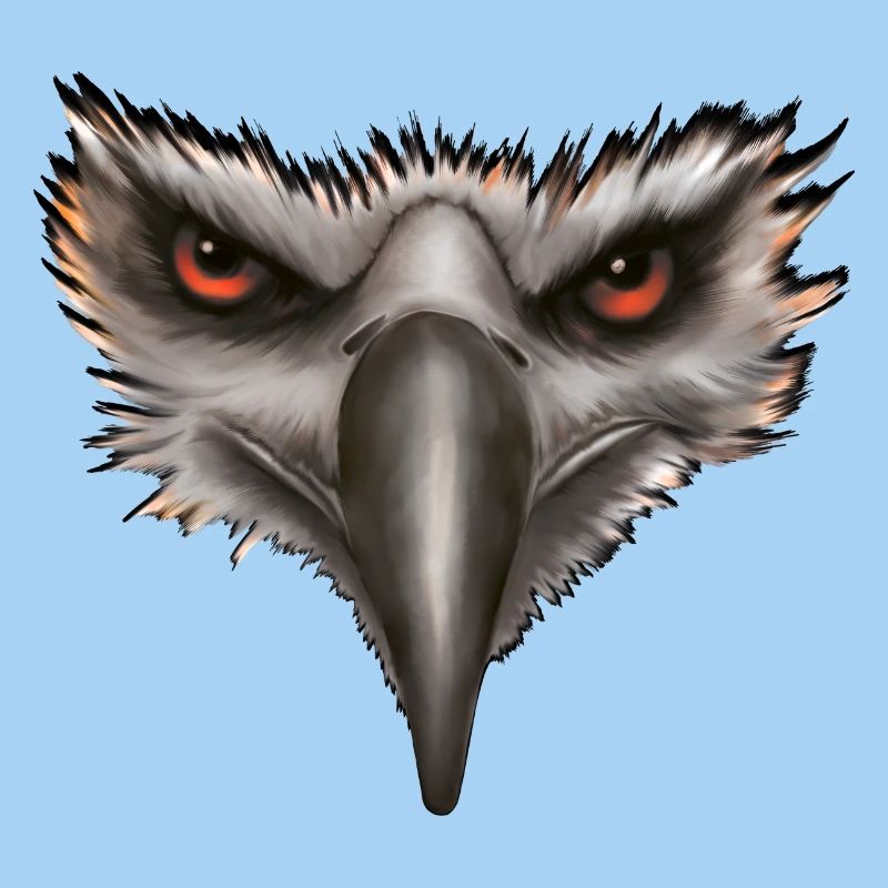 Cadeau Eagle Eagle Head