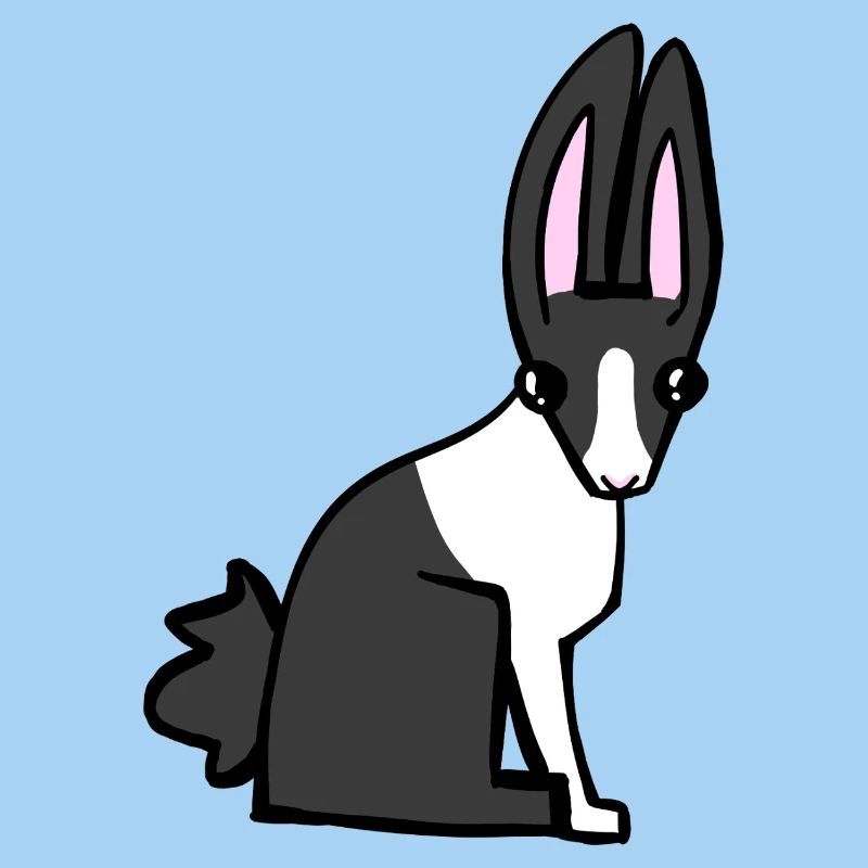 bunny