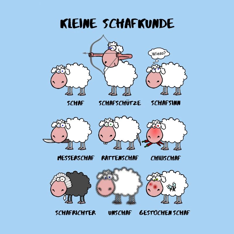 A little sheep knowledge