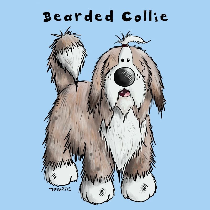 Happy Bearded Collie