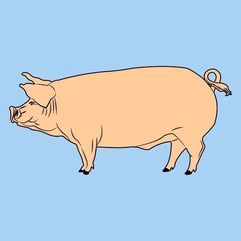 Rosa Schwein