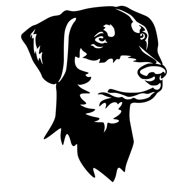 German Pinscher Head