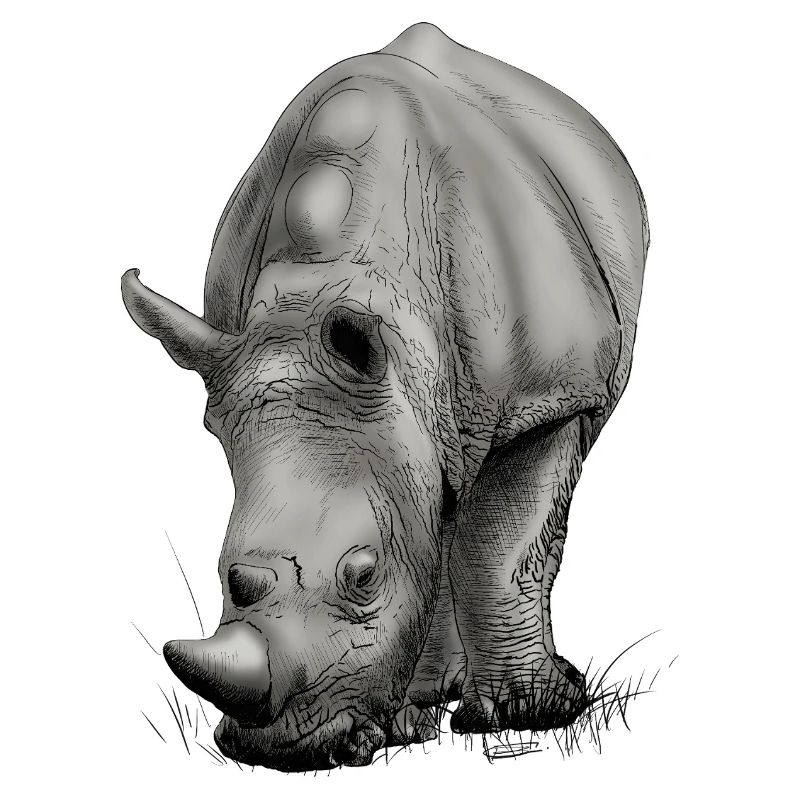 Conception créative réaliste de Rhino
