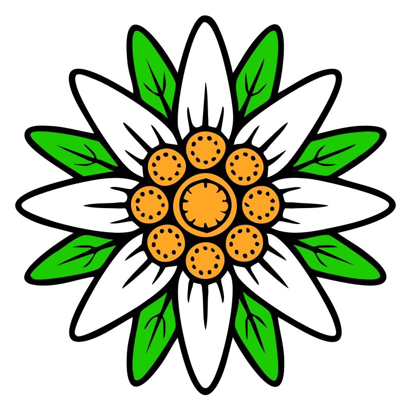 Edelweiss