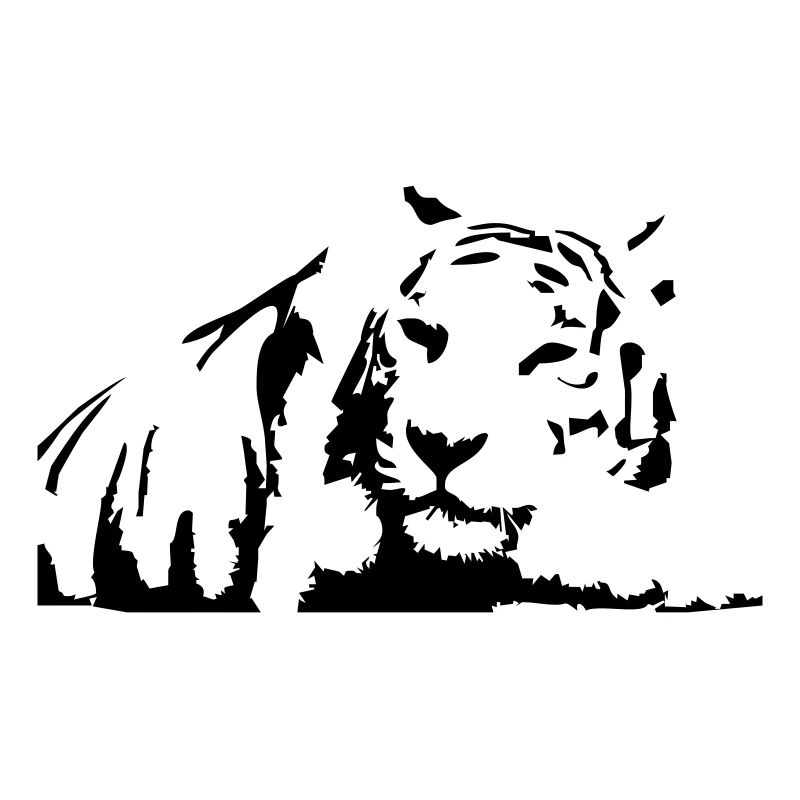 Tiger, White Tiger