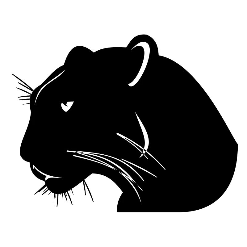 panther