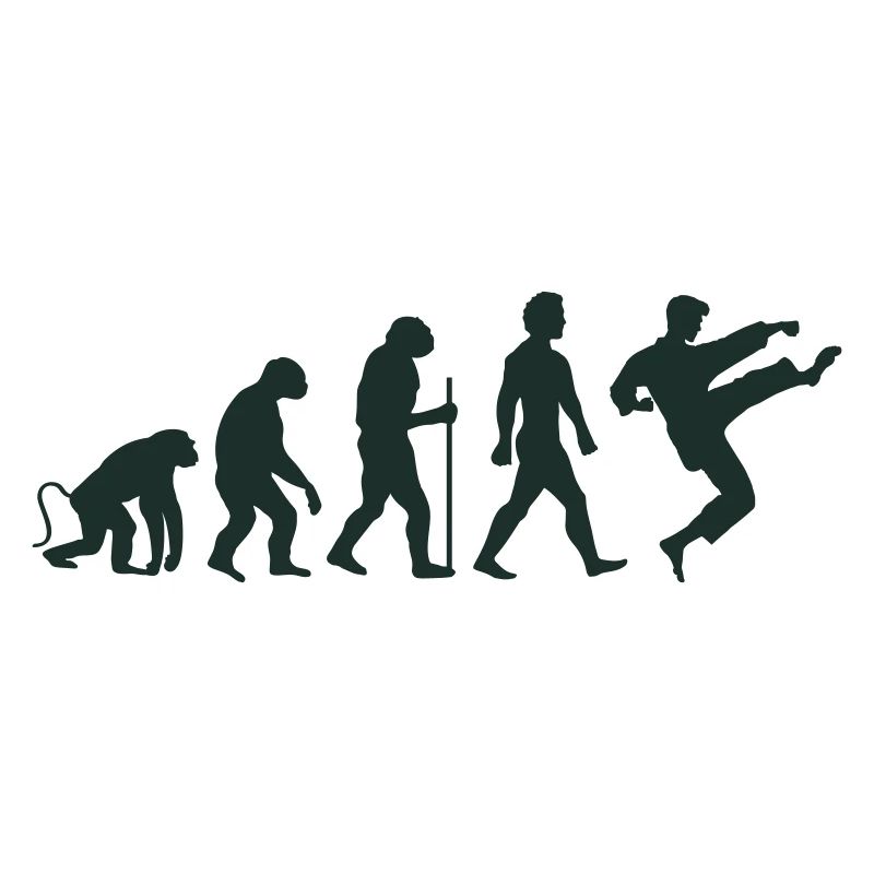 karate evolution