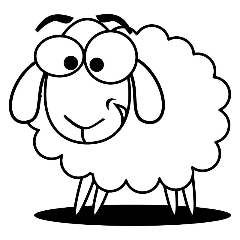 Sheep - © roil