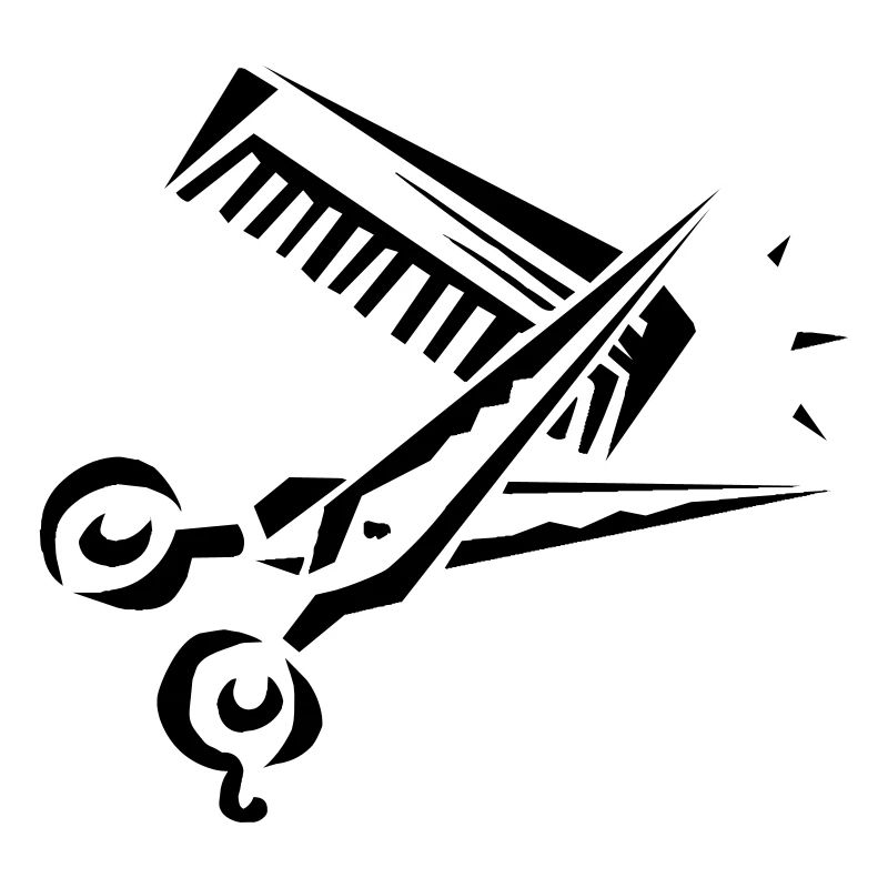 Sissors and comb