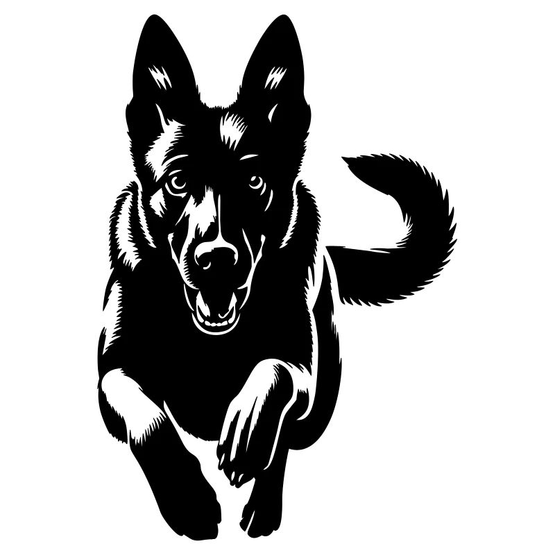 Malinois