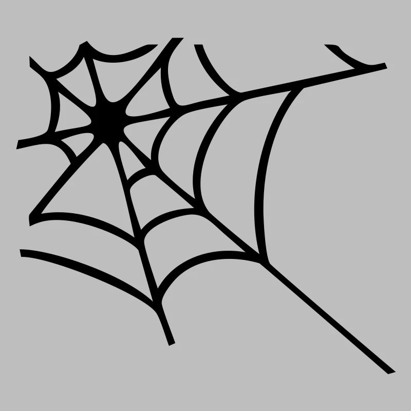Corner spider web