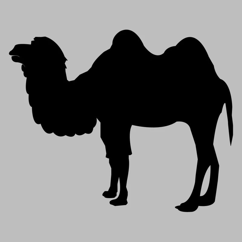 kamel