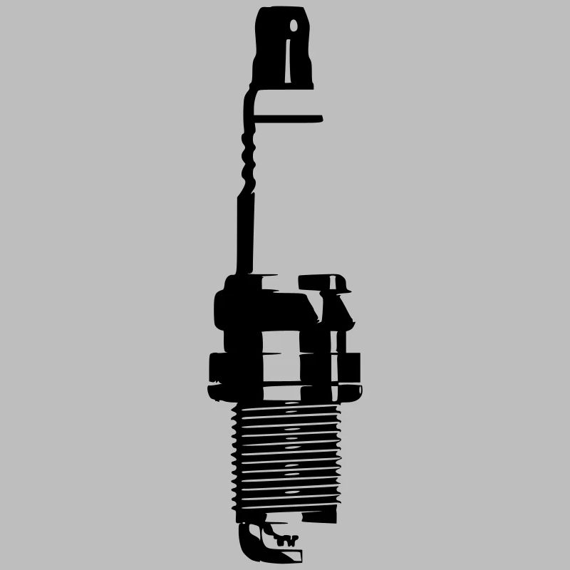 the spark plugs
